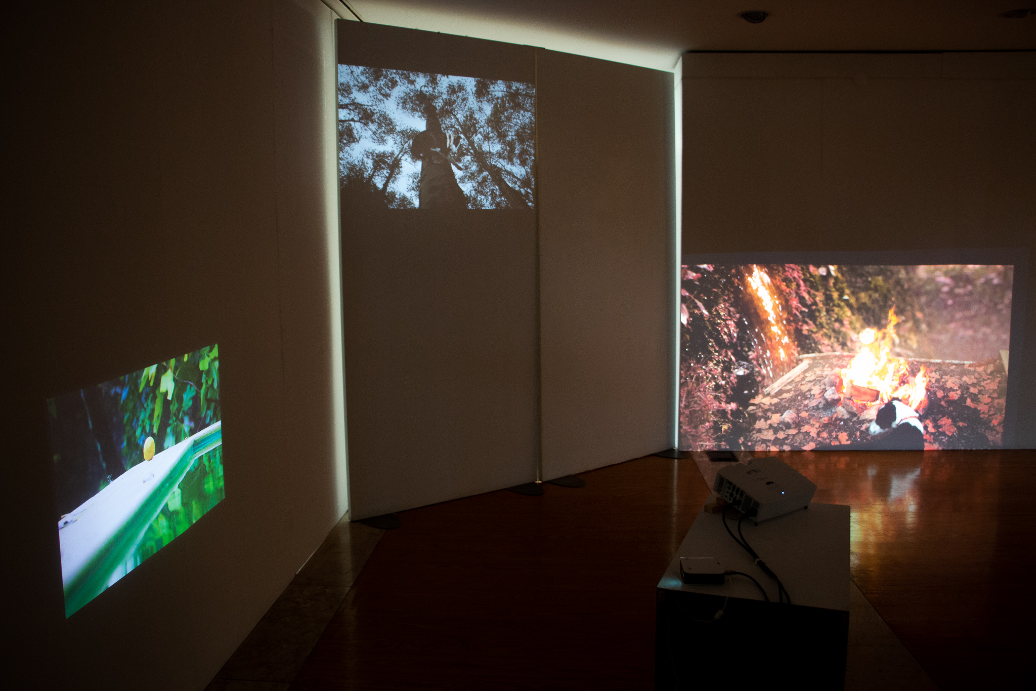 Grão - Ehxibition view