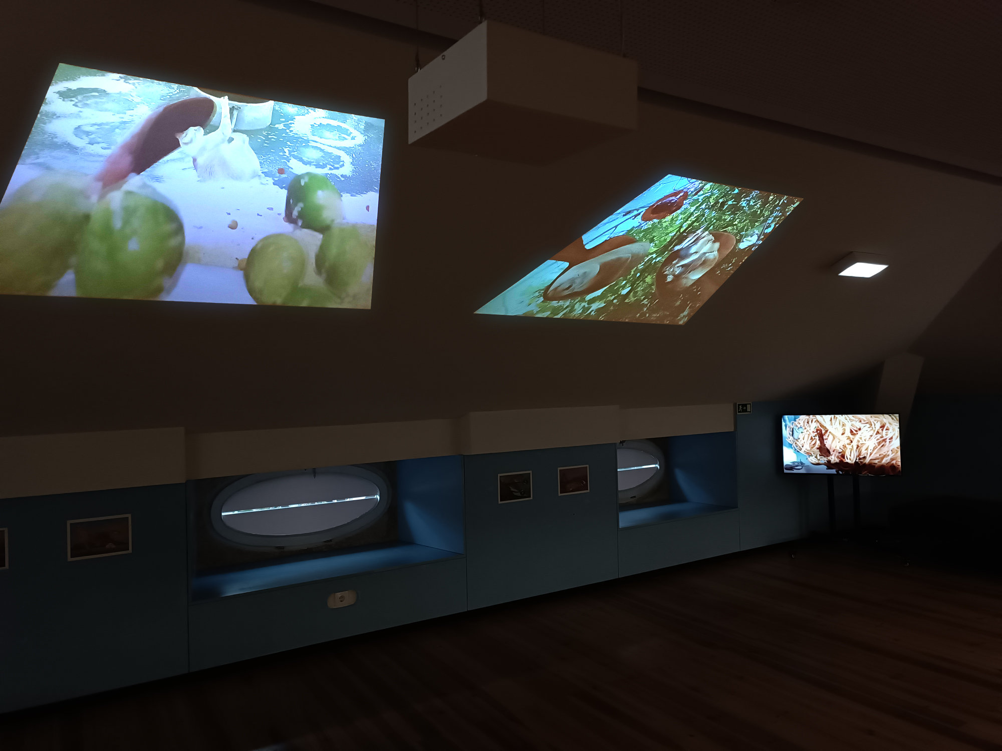 Oito Colheres de Sono - Ehxibition view