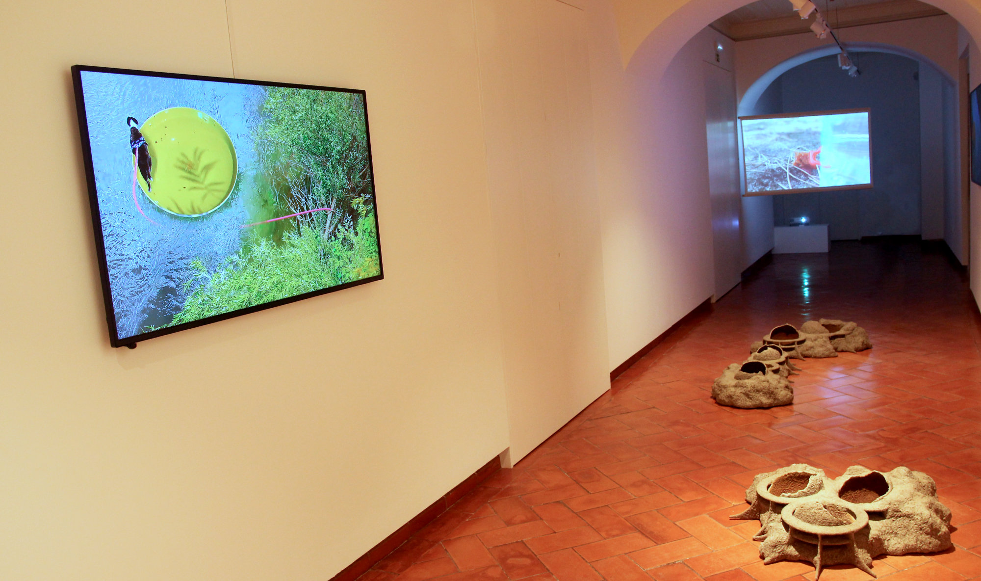 Sopa Primordial - Ehxibition view