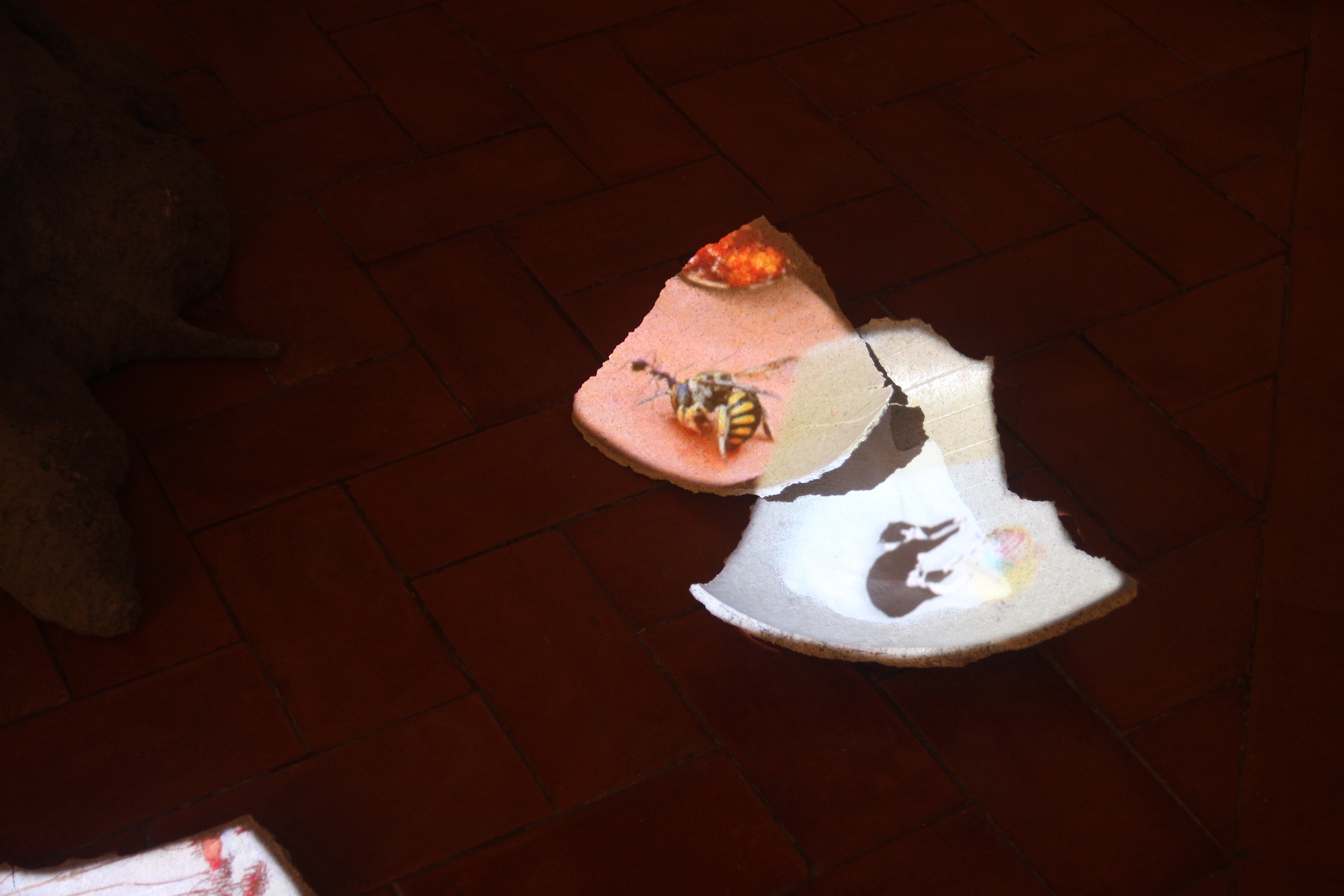 Sopa Primordial - Ehxibition view