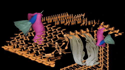 Uma Outra Bela Adormecida