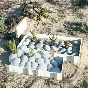 Sei que não ias gostar de ficar à sombra