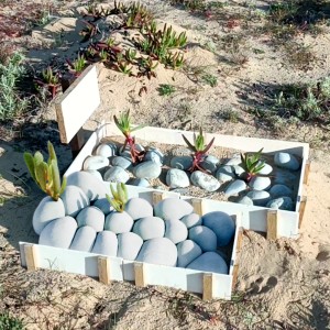 Sei que não ias gostar de ficar à sombra