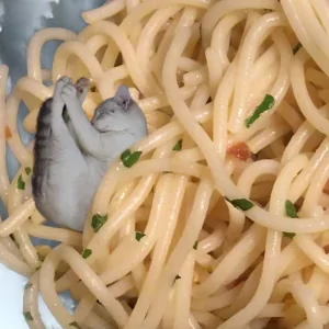 Oito Colheres de Sono